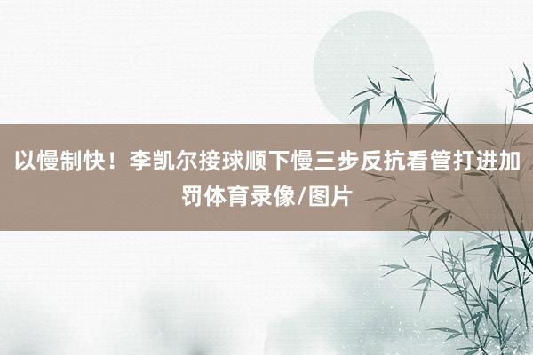 以慢制快！李凯尔接球顺下慢三步反抗看管打进加罚体育录像/图片