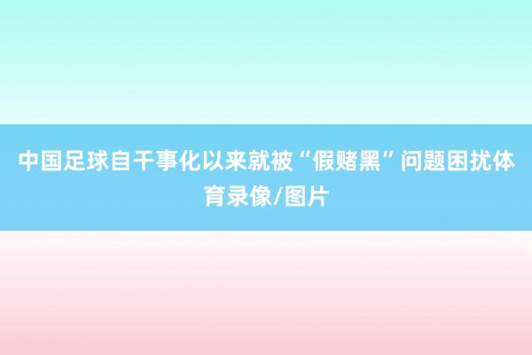 中国足球自干事化以来就被“假赌黑”问题困扰体育录像/图片
