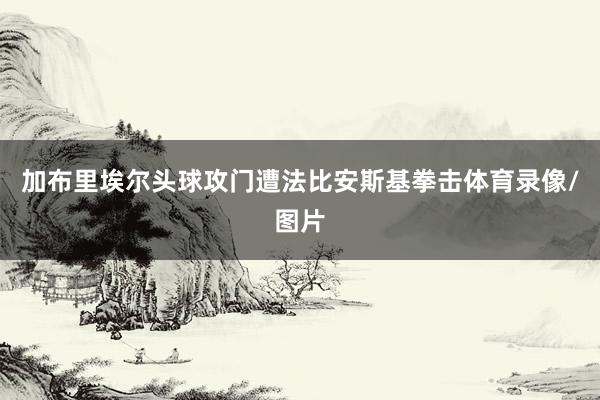 加布里埃尔头球攻门遭法比安斯基拳击体育录像/图片
