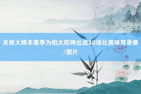 关根大辉本赛季为柏太阳神出战30场比赛体育录像/图片