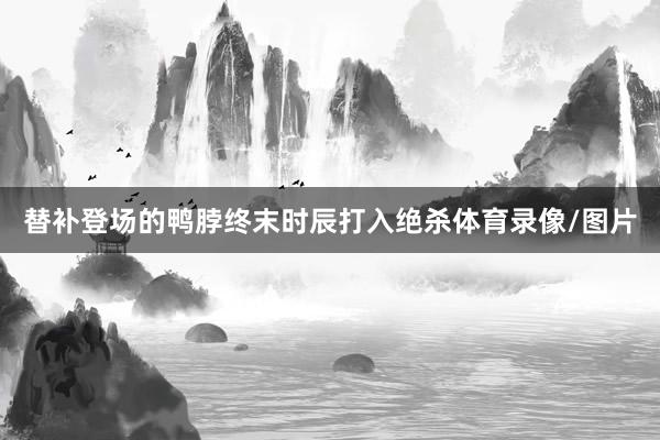 替补登场的鸭脖终末时辰打入绝杀体育录像/图片