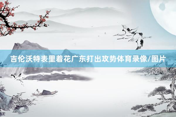 吉伦沃特表里着花广东打出攻势体育录像/图片