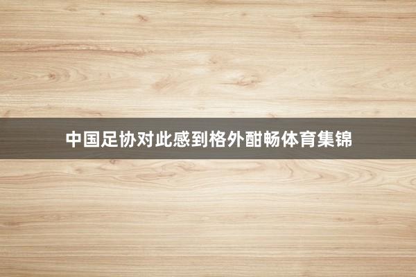 中国足协对此感到格外酣畅体育集锦