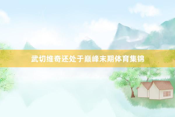 武切维奇还处于巅峰末期体育集锦
