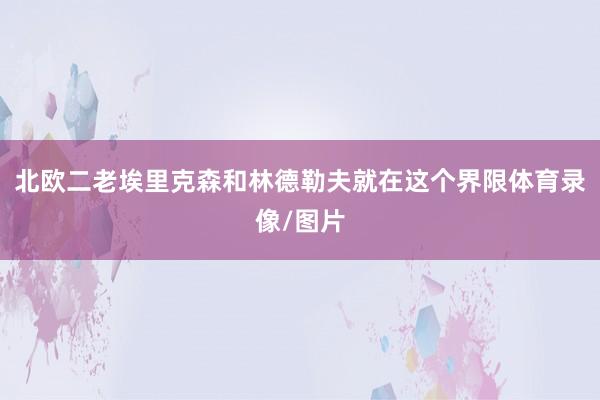 北欧二老埃里克森和林德勒夫就在这个界限体育录像/图片