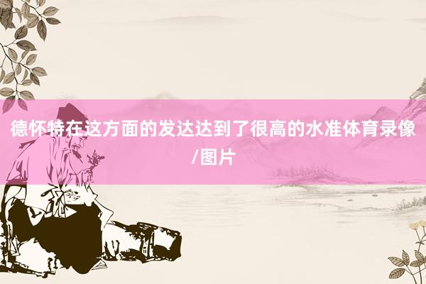 德怀特在这方面的发达达到了很高的水准体育录像/图片