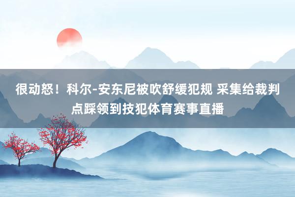很动怒！科尔-安东尼被吹舒缓犯规 采集给裁判点踩领到技犯体育赛事直播