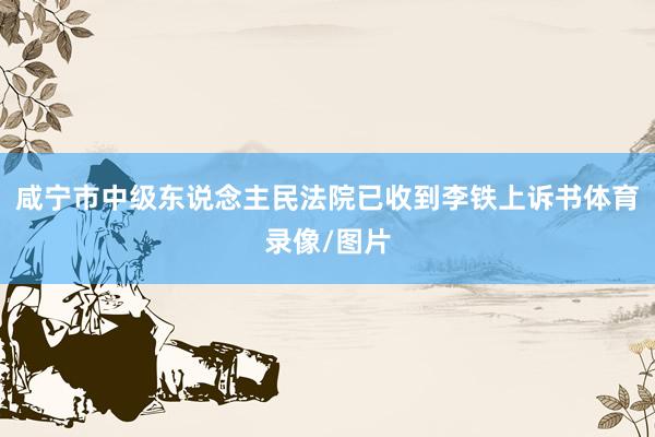 咸宁市中级东说念主民法院已收到李铁上诉书体育录像/图片
