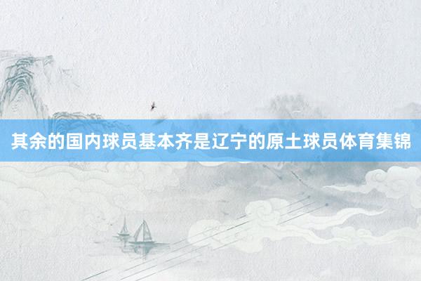 其余的国内球员基本齐是辽宁的原土球员体育集锦