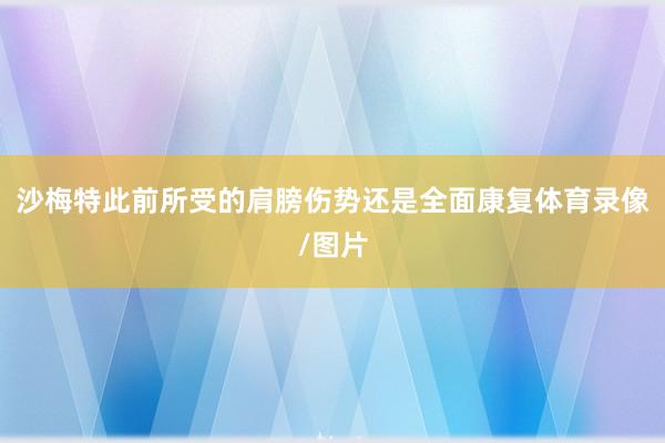 沙梅特此前所受的肩膀伤势还是全面康复体育录像/图片