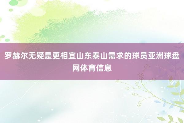 罗赫尔无疑是更相宜山东泰山需求的球员亚洲球盘网体育信息