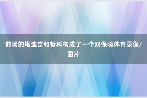 前场的塔迪奇和哲科构成了一个双保障体育录像/图片