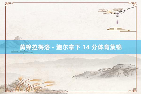 黄蜂拉梅洛 - 鲍尔拿下 14 分体育集锦