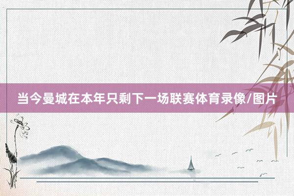 当今曼城在本年只剩下一场联赛体育录像/图片