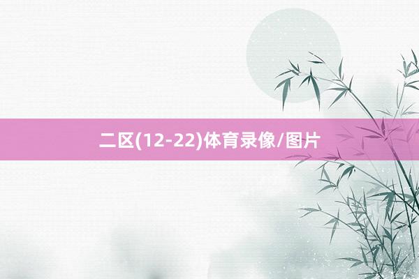 二区(12-22)体育录像/图片