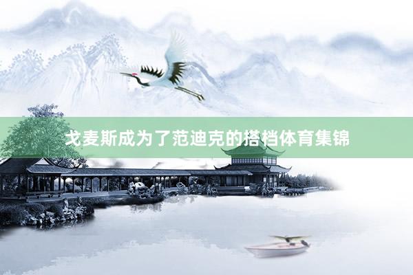 戈麦斯成为了范迪克的搭档体育集锦