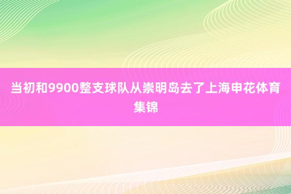 当初和9900整支球队从崇明岛去了上海申花体育集锦