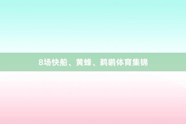 8场快船、黄蜂、鹈鹕体育集锦