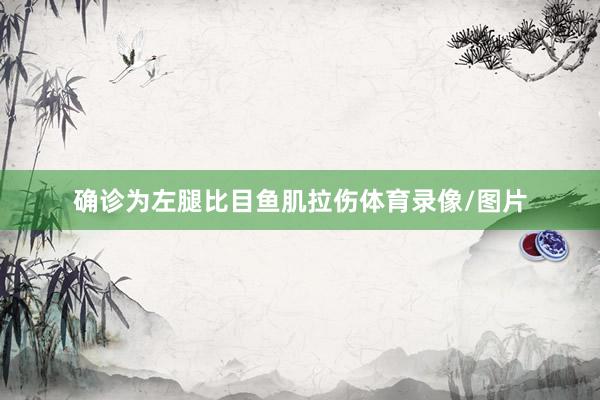 确诊为左腿比目鱼肌拉伤体育录像/图片