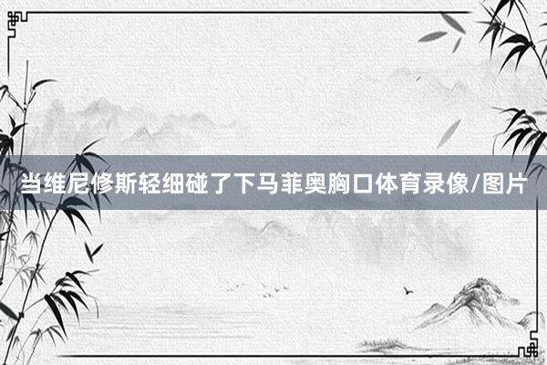 当维尼修斯轻细碰了下马菲奥胸口体育录像/图片