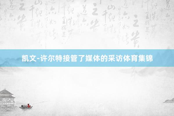 凯文-许尔特接管了媒体的采访体育集锦
