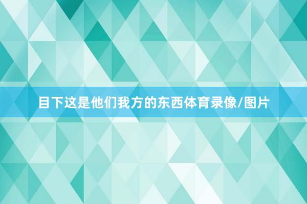 目下这是他们我方的东西体育录像/图片