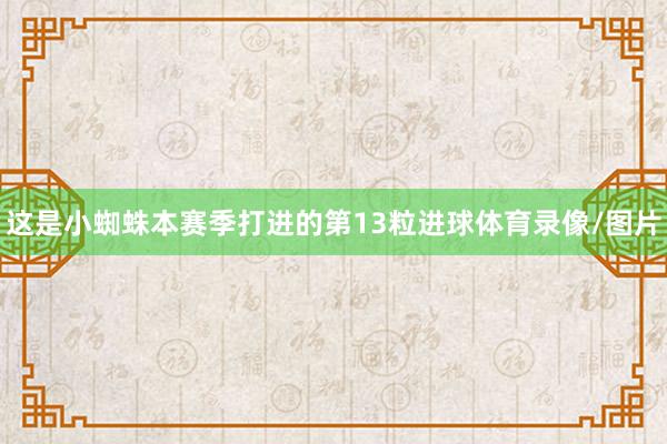 这是小蜘蛛本赛季打进的第13粒进球体育录像/图片