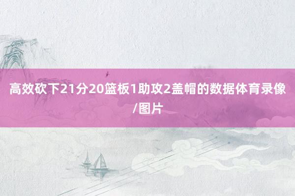 高效砍下21分20篮板1助攻2盖帽的数据体育录像/图片
