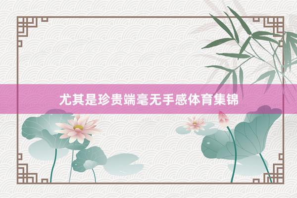 尤其是珍贵端毫无手感体育集锦
