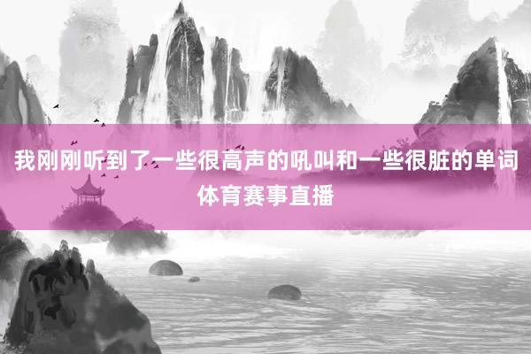 我刚刚听到了一些很高声的吼叫和一些很脏的单词体育赛事直播