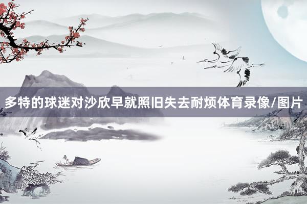 多特的球迷对沙欣早就照旧失去耐烦体育录像/图片