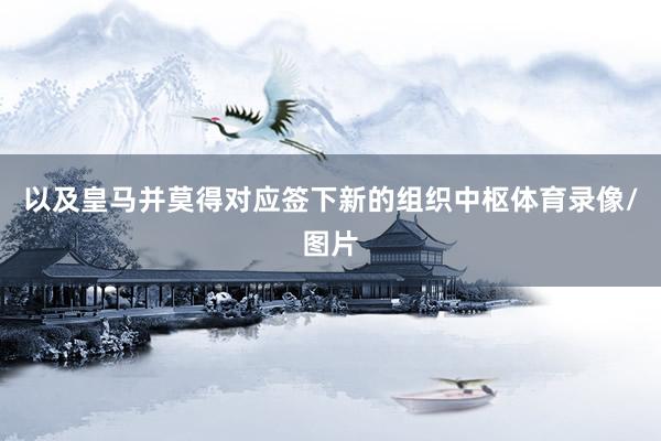 以及皇马并莫得对应签下新的组织中枢体育录像/图片