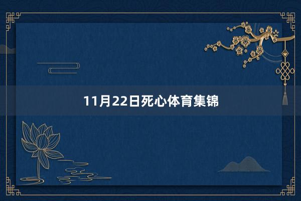 11月22日死心体育集锦
