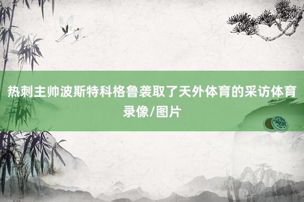热刺主帅波斯特科格鲁袭取了天外体育的采访体育录像/图片