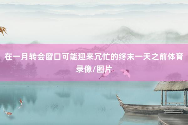 在一月转会窗口可能迎来冗忙的终末一天之前体育录像/图片