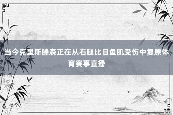 当今克里斯滕森正在从右腿比目鱼肌受伤中复原体育赛事直播