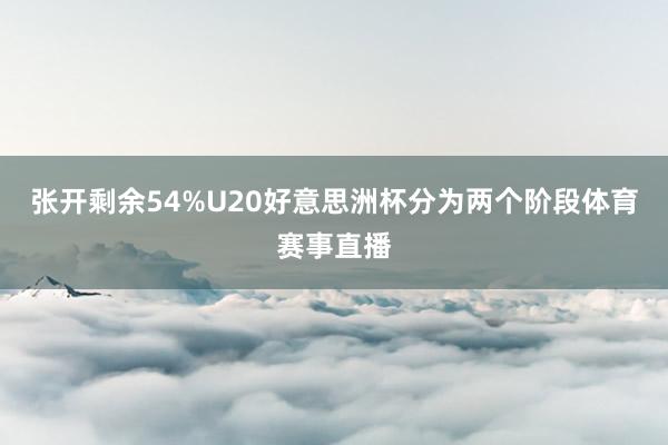 张开剩余54%U20好意思洲杯分为两个阶段体育赛事直播