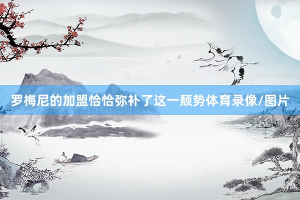 罗梅尼的加盟恰恰弥补了这一颓势体育录像/图片