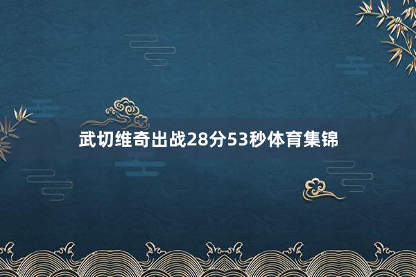 武切维奇出战28分53秒体育集锦