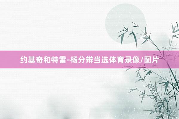约基奇和特雷-杨分辩当选体育录像/图片