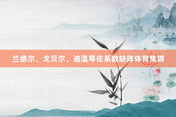 兰德尔、戈贝尔、迪温琴佐系数缺阵体育集锦