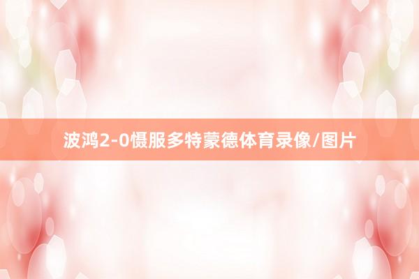 波鸿2-0慑服多特蒙德体育录像/图片