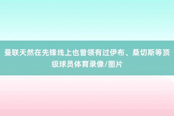 曼联天然在先锋线上也曾领有过伊布、桑切斯等顶级球员体育录像/图片