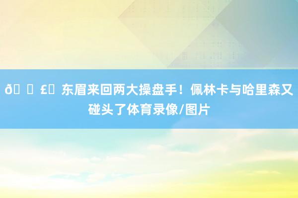 💣️东眉来回两大操盘手！佩林卡与哈里森又碰头了体育录像/图片