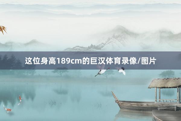 这位身高189cm的巨汉体育录像/图片