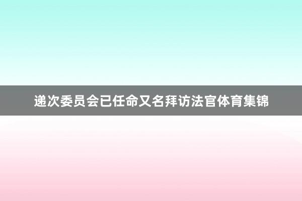递次委员会已任命又名拜访法官体育集锦