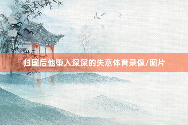 归国后他堕入深深的失意体育录像/图片