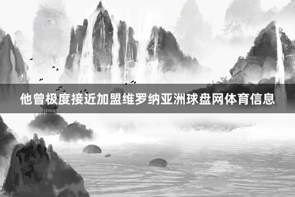 他曾极度接近加盟维罗纳亚洲球盘网体育信息