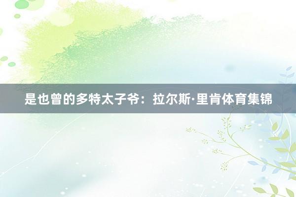 是也曾的多特太子爷：拉尔斯·里肯体育集锦