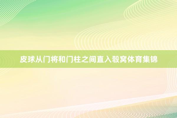 皮球从门将和门柱之间直入彀窝体育集锦